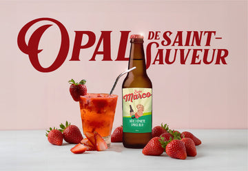 Opal de Saint-Sauveur